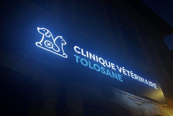 Enseigne lumineuse texte évidé Toulouse