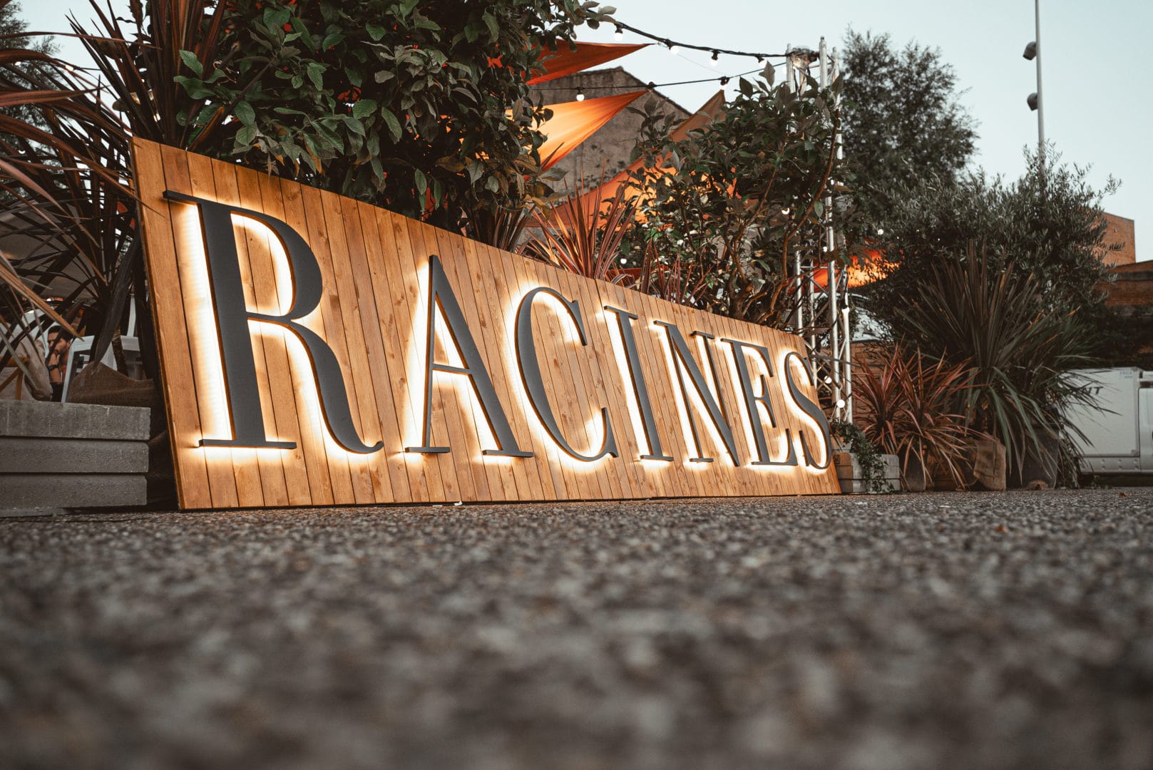 DSC04150-1-1617x1080