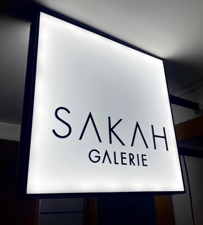 Enseigne-lumineuse-drapeau-Toulouse-1