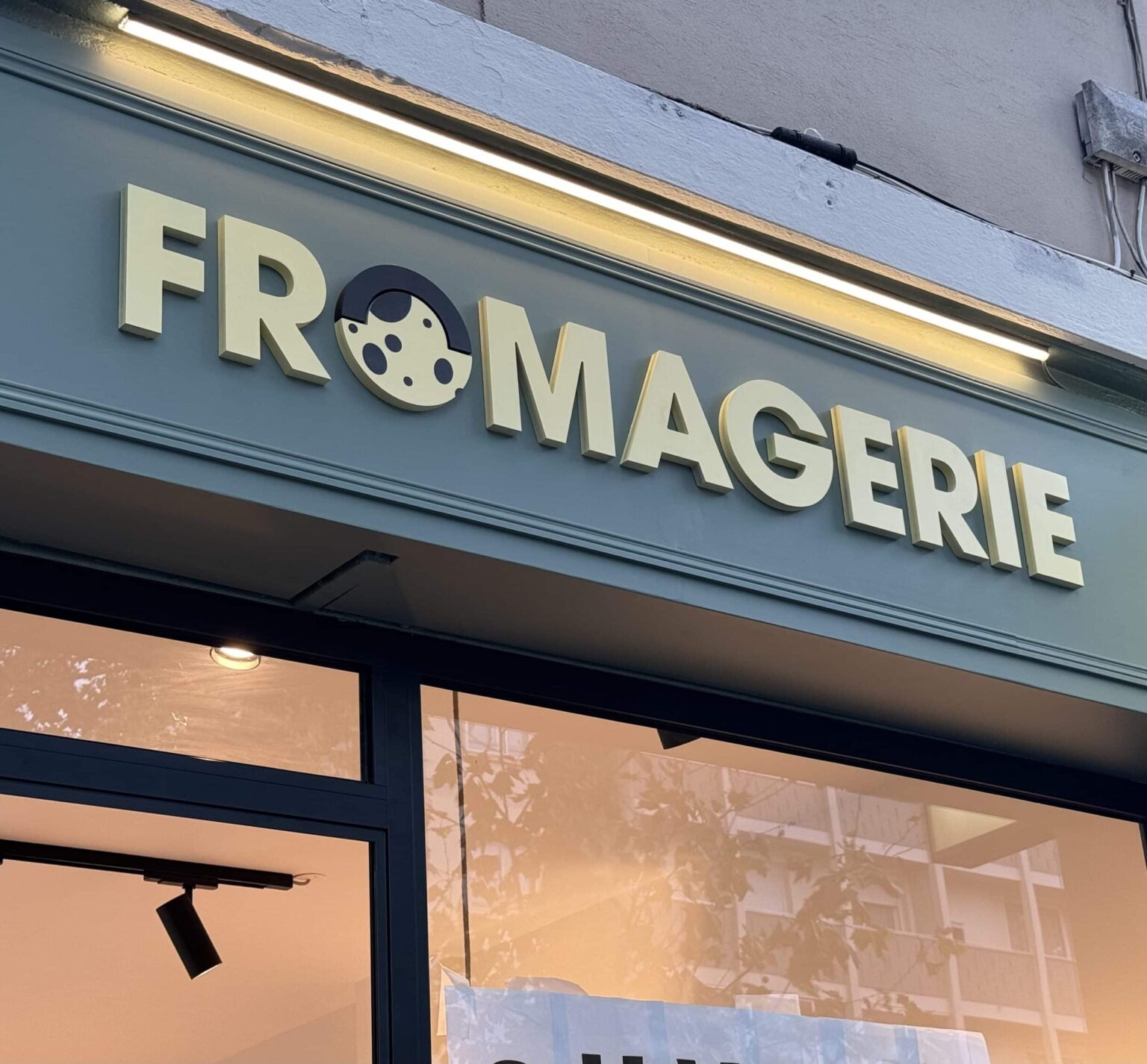 IMG_7350-scaled-e1729238074698-1536x1426