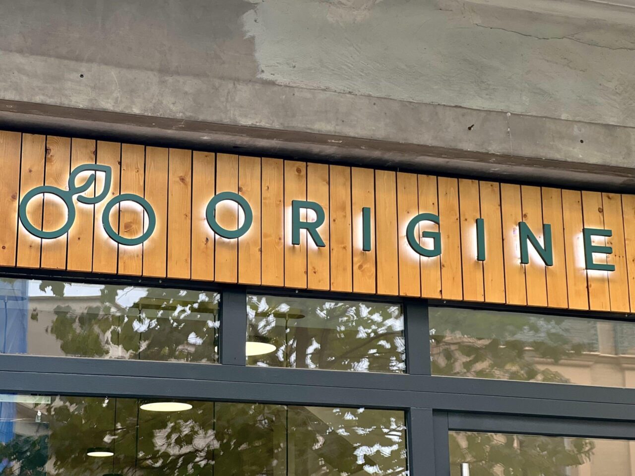 IMG_9080-scaled-e1714027562128