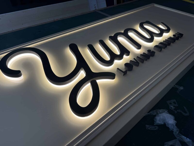 IMG_9544-scaled-e1731415976163