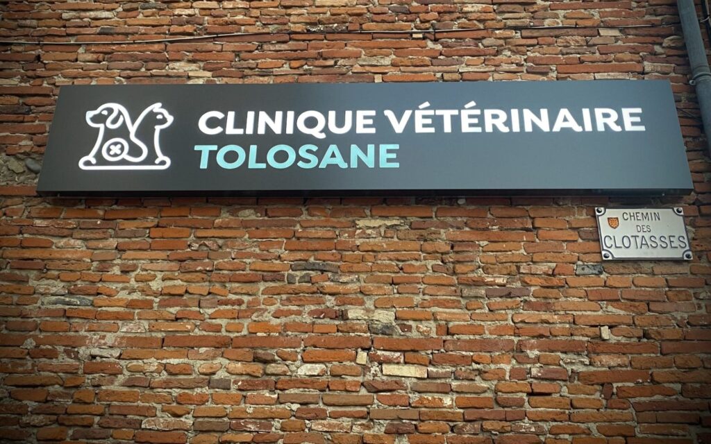 Enseigne lumineuse texte évidé Toulouse