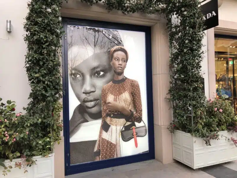 signenseigne marquage vitrine big